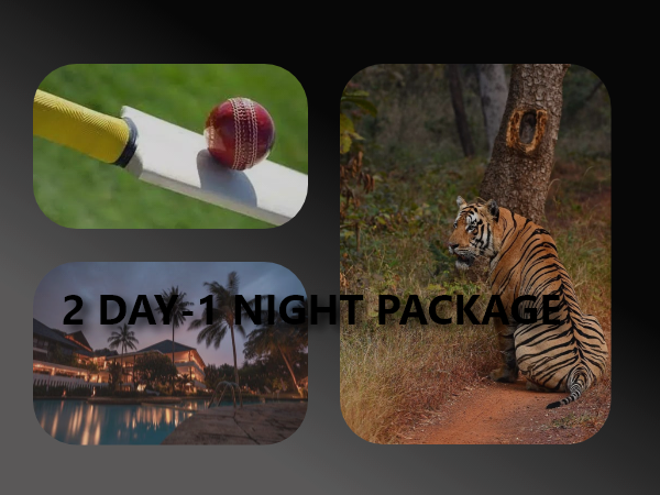 Package